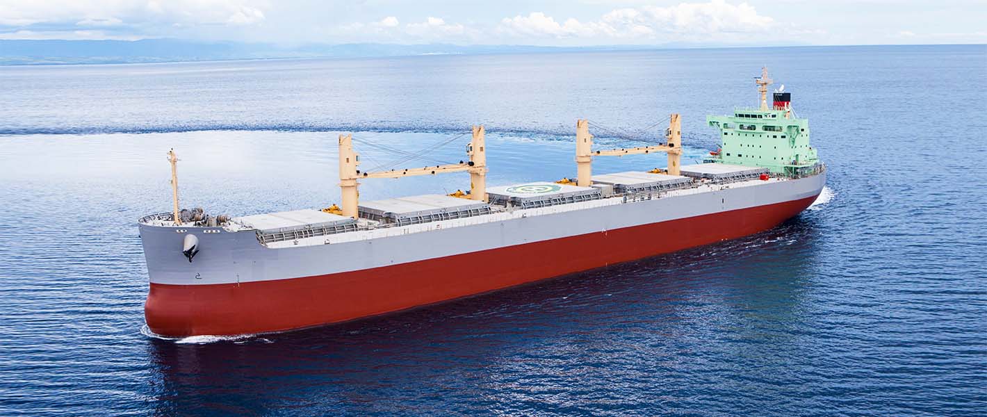 Bulk Carrier Corrugated Skot