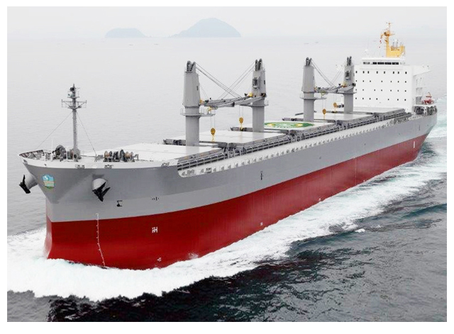 Hvad er forskellen mellem last og bulkbærer?