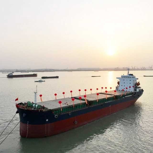 Dobbeltskrog tilpasset bulkcarrier med kran 