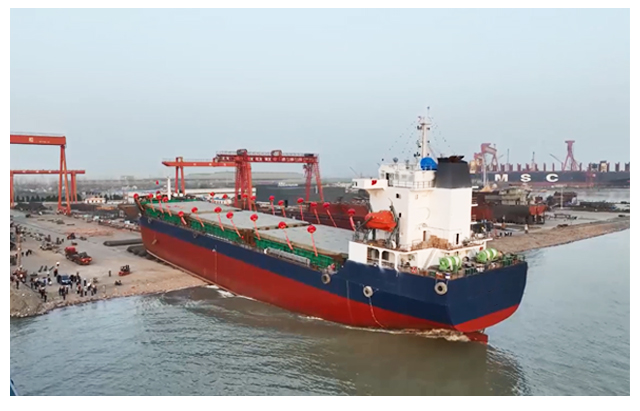 Hvad er en bulkbærer?